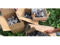 Yalova'da güvercin hırsızlığı: 3 gözaltı