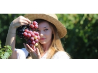 Ürgüp Bağ Bozumu Festivali 9-10 Eylül'de yapılacak