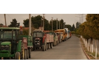 Ayçiçeği hasadı Kırşehir'de uzun kuyruklar oluşturdu