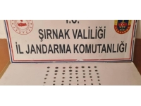 Şırnak'ta tarihi eser operasyonu: 65 sikke ve takı ele geçirildi