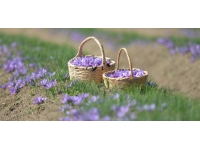 Karabük Tanıtım Günleri başlıyor