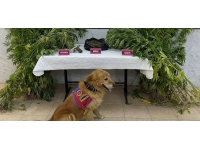 Aydın'daki uyuşturucu operasyonlarında 6 kişi tutuklandı