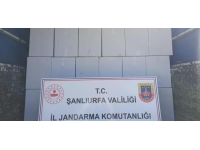 Şanlıurfa’da 1 milyon 600 bin makaron ele geçirildi: 3 gözaltı