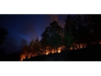 Denizli-Muğla sınırında çıkan orman yangını söndürüldü