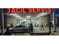 Şanlıurfa'da su birikintisine düşen 2 çocuk boğuldu