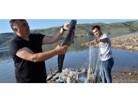Karakurt Baraj Gölü’nde balık bereketi