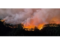 California'daki orman yangınında 11 binden fazla kişi tahliye edildi