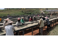 Dünyada 50 milyon kişi modern kölelik altında yaşıyor