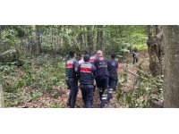 Kestiği ağacın altında kalan kişi yaralandı