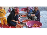 Hakkarili kadınlar salça üretimine başladı