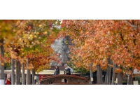 Yarınki hava durumu nasıl? Türkiye geneli hava durumu....