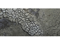 ABD'de bin 200 yıldır görülmeyen bir iklim felaketi: Mega kuraklık