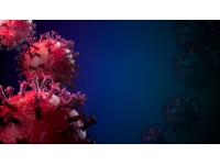 Yunanistan’da COVID-19’un yeni alt varyantı BA.2 tespit edildi