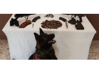 Şanlıurfa'da silah kaçakçılarına operasyon: 2 gözaltı