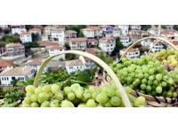 Safranbolu'nun tescilli ürünleri arasına "çavuş üzümü" de girdi