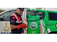 Aksaray'da bulunan leylek tedavisinin ardından doğaya bırakıldı