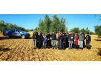 Kilis'te bir ayda 441 düzensiz göçmen yakalandı