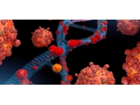 Çin ana karasında ilk maymun çiçeği vakası görüldü