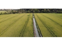 Edirne’de beyaz altın çeltik hasadı başladı