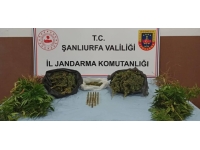 Şanlıurfa'da uyuşturucu operasyonu: 5 gözaltı
