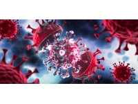 DSÖ: Yeni bir varyant görülmezse COVID-19 salgını yakın zamanda bitebilir