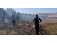 Ardahan'da ormanlık alanda çıkan yangın söndürüldü