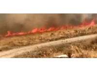 Elazığ'da otluk alanda yangın