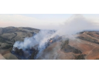 Adana'da orman yangını