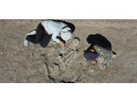 Kahramanmaraş'taki 7 bin yıllık kadın iskeleti bulundu