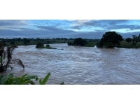 Nijerya'da etkili olan selde mezarlıktaki yaklaşık 500 ceset kayboldu