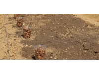 Lavanta kokulu safran bahçeleri agroturizmi canlandıracak