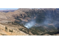 Adana'da orman yangını: Havadan ve karadan müdahale ediliyor