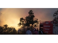 Bingöl'de çiftlikte yangın