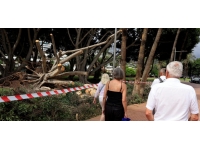 İspanya'da kötü hava şartları 1 can aldı, 671 uçuş iptal edildi