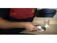 Havalandırma boşluğunda mahsur kalan kedi yavrusu kurtarıldı