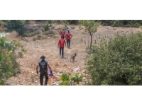 Giresun'da kaybolan yaşlı adam için arama çalışması başlatıldı