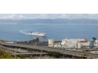 Yeni Zelanda deniz yoluyla canlı hayvan ihracatını yasaklıyor