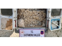 1,5 ton sarımsak çalan 3 hırsız tutuklandı