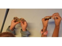 Yalova'da çocuklar origami sanatıyla eğlendi