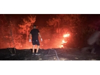 KKTC'de çıkan orman yangını kontrol altına alındı