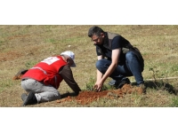 Düzce'de huzurevi sakinleri fidan dikti