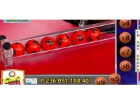 433 kişi piyangoyu kazandı, hükümet soruşturma çağrısı yaptı