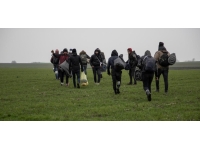 Sırbistan polisi, Macaristan sınırında 200 göçmen yakaladı