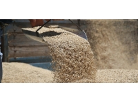 TMO uygun fiyatlı arpa ve mısır alımına tekrar başlıyor