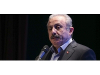 Meclis Başkanı Şentop Ukrayna Meclis Başkan Yardımcısı Kondratyuk ile görüştü