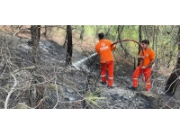 Karabük'te ormanlık alanda çıkan yangın söndürüldü