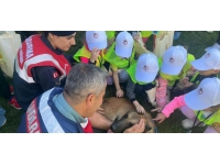 Jandarma ekipleri çocuklara HAYDİ uygulamasını anlattı