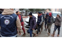 Kırklareli'nde 14 düzensiz göçmen yakalandı