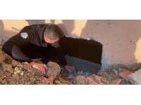 Erzincan'da mahsur kalan köpeği itfaiye kurtardı