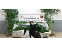 Kayseri'de uyuşturucu operasyonu